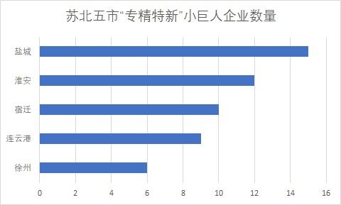 蘇北五市52家“小巨人”入選國家隊(duì)，化工賽道彰顯江蘇制造業(yè)韌性優(yōu)勢(shì)