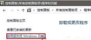 如何在Windows 10系統(tǒng)中打開(kāi)Internet信息服務(wù)（IIS）
