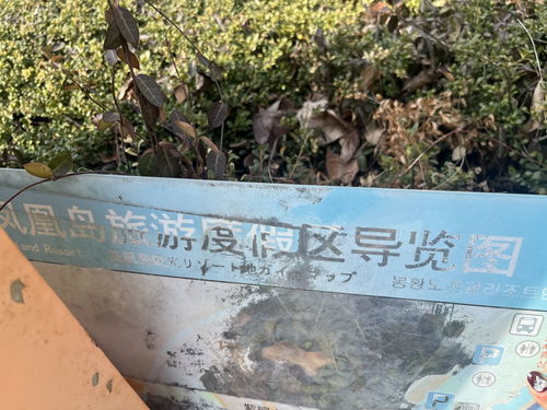 記者在現(xiàn)場 導(dǎo)覽裝置無人維護 市民呼吁加強管理