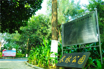 柳州市城市廣場管理處轄區(qū)景點服務(wù)項目介紹