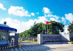 百億級產業項目落戶金山,背后的 門道