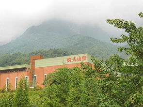 隱藏在5a景區(qū)里的飲料廠,幾乎沒有人沒喝過他們的產(chǎn)品