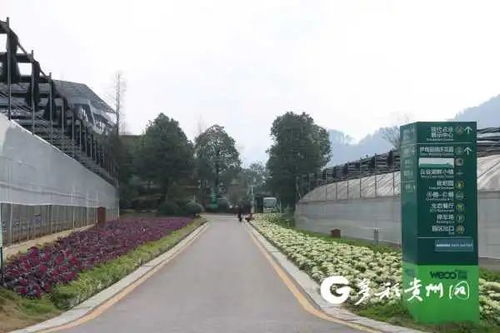 貴州多個景區陸續開園，游覽時園區管理服務與注意事項詳解