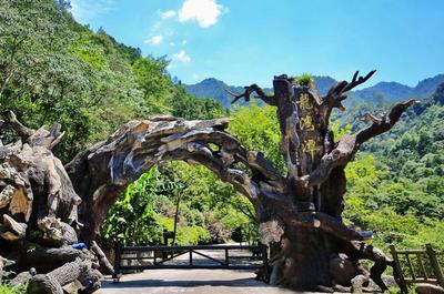 魔鬼秋千爆紅全網 浙旅集團深度體驗旅游產品成效凸顯，景區管理再升級